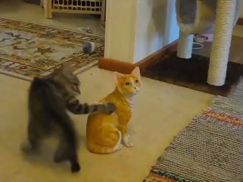 Ce besoin irrépressible de communiquer ? -Poor thing thinks that his friend has… – Katzen Ce besoin irrépressible de communiquer ? -Poor thing thinks that his friend has… – Katzen
