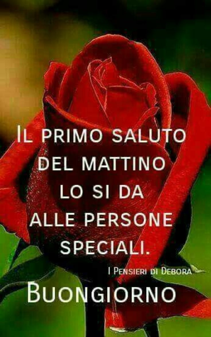 Buongiorno Speciale per il mio amore BuongiornoImmagini.it jpg (736x1178)