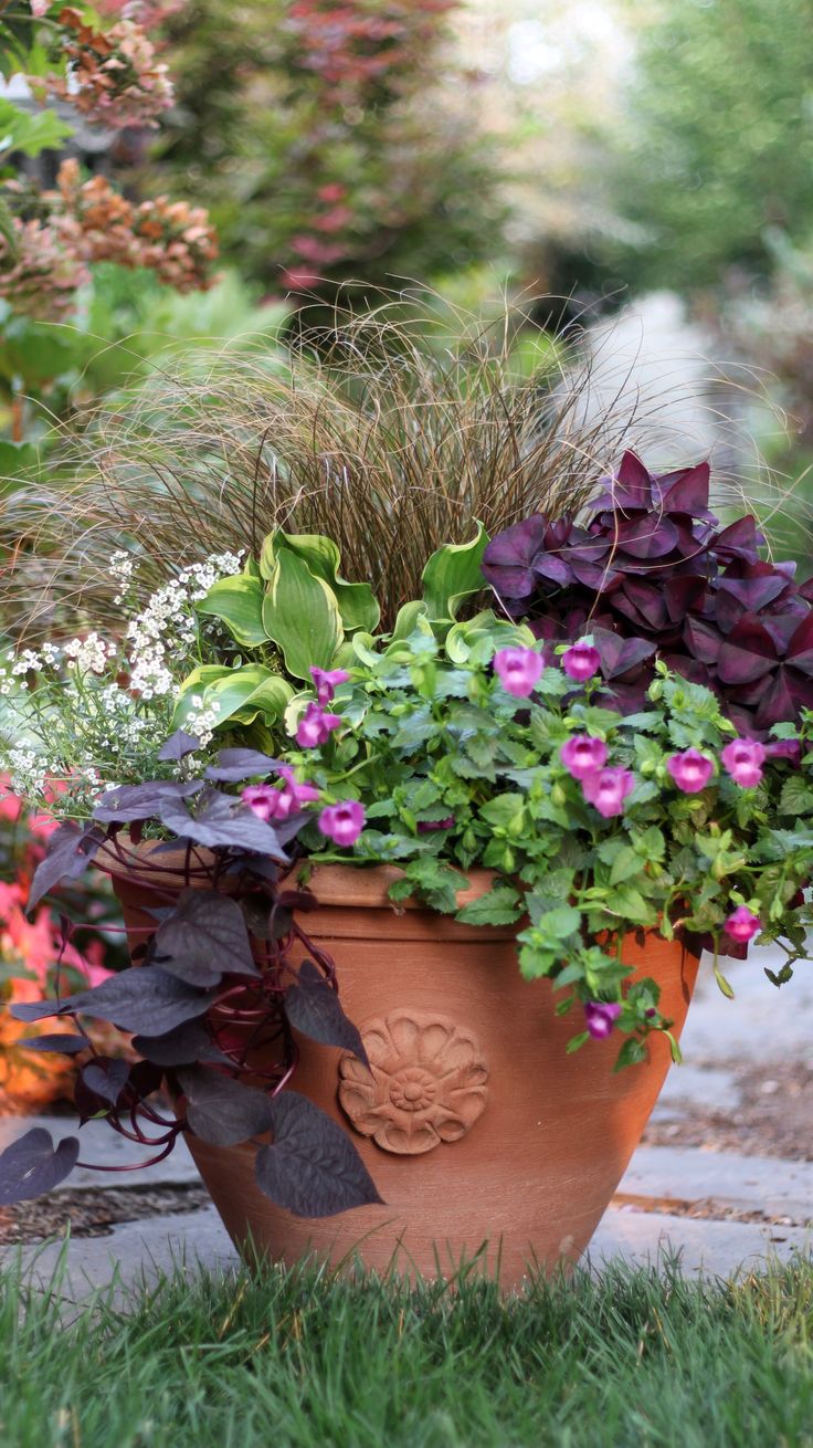 Garden Ideas Videos 34 best garden advice videos images on pinterest | flower pots Garden Ideas Videos 34 best garden advice videos images on pinterest | flower pots