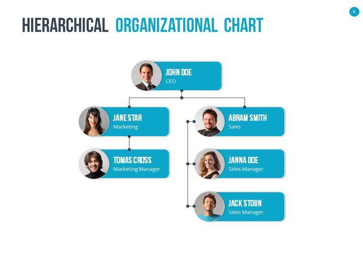 best organizational chart template