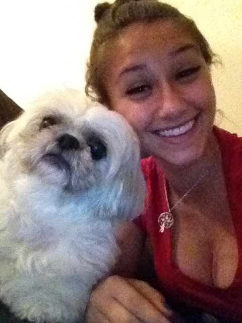 babysit a dog