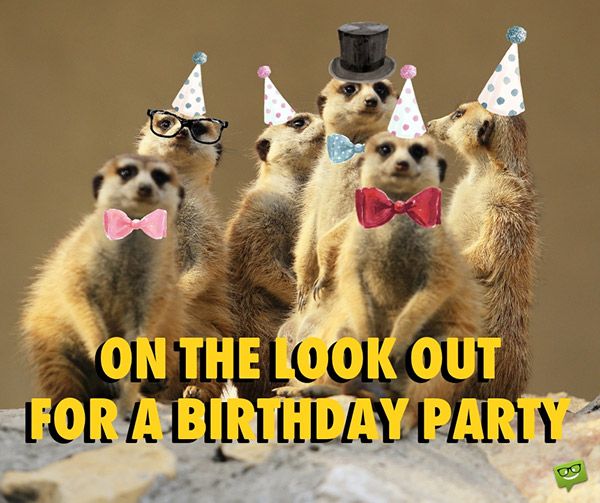 Funny Happy Birthday Images | Smile, it's your Birthday! | Funny happy
