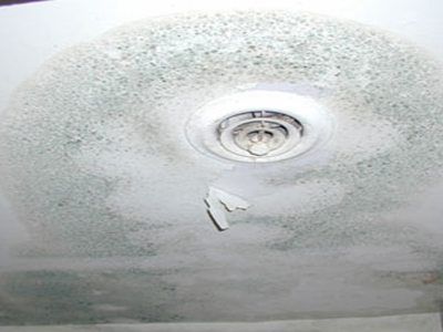 Mold In The Bathroom Ceiling best 25+ bathroom mold ideas on pinterest | mold in bathroom Mold In The Bathroom Ceiling best 25+ bathroom mold ideas on pinterest | mold in bathroom