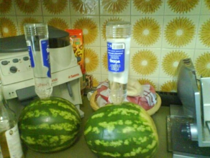 Wodka Melone Anleitung Wodka Melone Anleitung