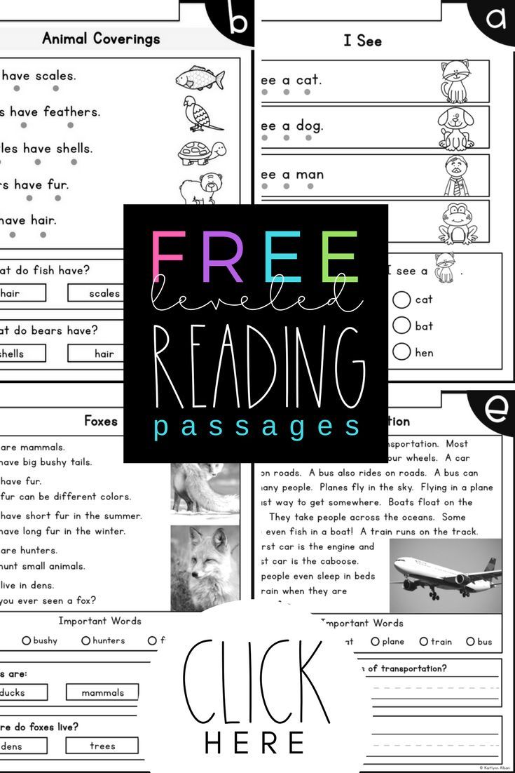 FREE LEVEL A-F Reading Comprehension Passages - SAMPLE PAGES - FREE LEVEL A-F Reading Comprehension Passages - SAMPLE PAGES