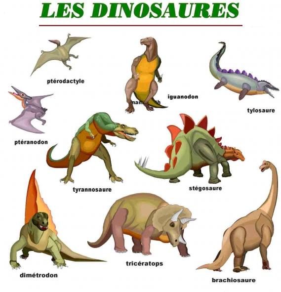 Resultado de imagen para vocabulaire les dinosaures