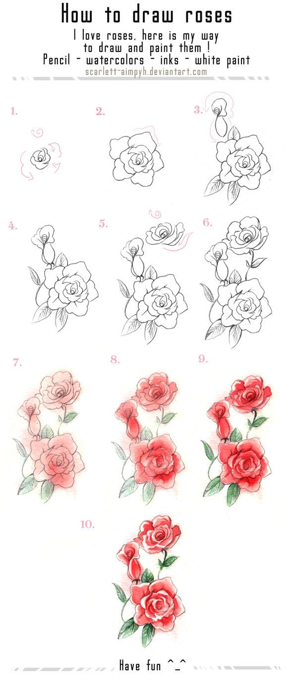 Draw a beautiful flower yourself you will help step by step drawing the tulip in pencil Draw a beautiful flower yourself you will help step by step drawing the tulip in pencil