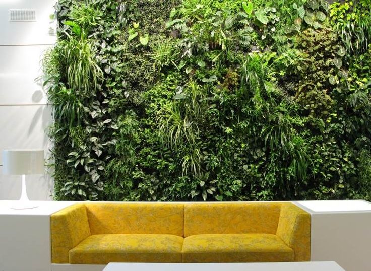 109 best Mur végétal images on Pinterest Gardening, House plants - faire un mur vegetal exterieur soi meme 109 best Mur végétal images on Pinterest Gardening, House plants - faire un mur vegetal exterieur soi meme