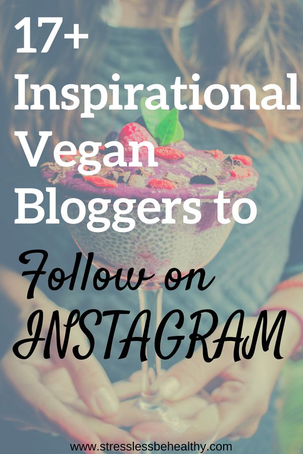 vegan blogging