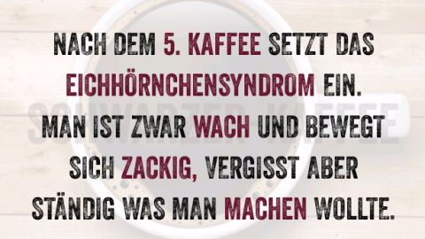JAHR 2037 Urkomische zitate, Lustige zitate und sprüche, Witzige sprüche