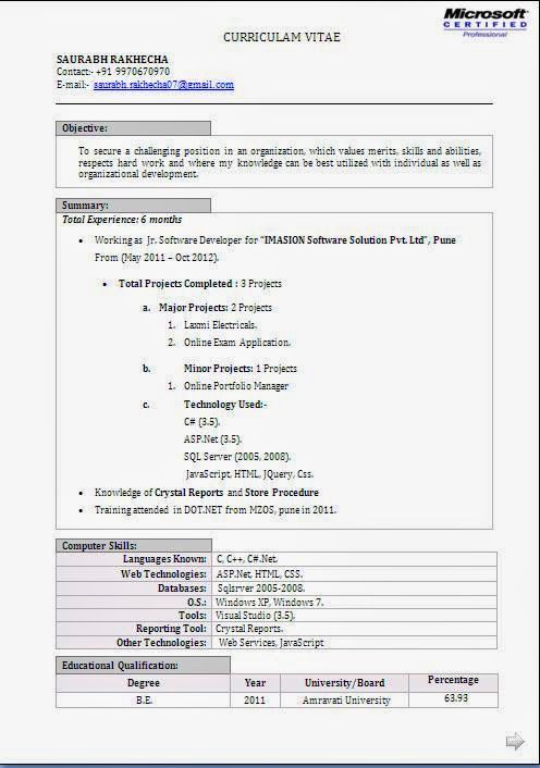 curriculum vitae pdf download Sample Template Example ofExcellent - software developer resumes curriculum vitae pdf download Sample Template Example ofExcellent - software developer resumes