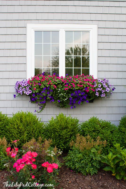 Window Box Tips My Former Black Thumb Gardening Pinterest Window Box Tips My Former Black Thumb Gardening Pinterest Bo Garden And Flowers