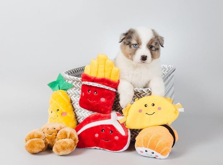 high quality dog toys