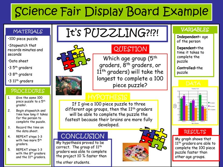 science fair projects presentation