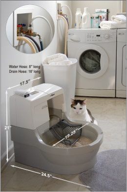 How To Dispose Of Wood Pellet Cat Litter How To Dispose Of Wood Pellet Cat Litter