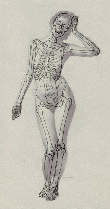 Desenhando a figura humana - dicas para iniciantes
