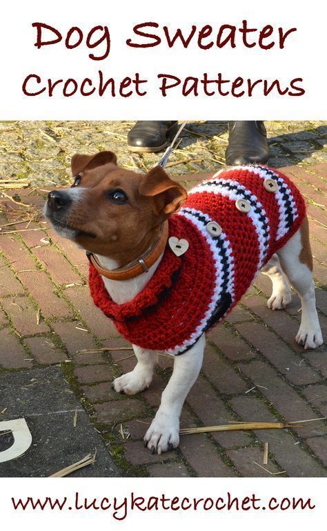 Free Crochet Dog Sweater Patterns Amazing Crochet Dog Swe Enchanting Crochet Dog Sweater Pattern Easy Free Crochet Dog Sweater Patterns Amazing Crochet Dog Swe Enchanting Crochet Dog Sweater Pattern Easy