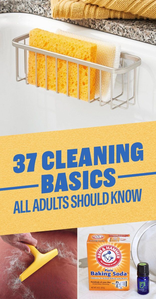 Cleaning tips, cleaning hacks, cleaning basics everyone should know Cleaning tips, cleaning hacks, cleaning basics everyone should know