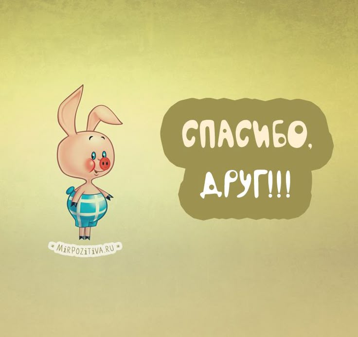 Спасибо прикольные картинки с надписями ржачные, открытка цветной бумаги