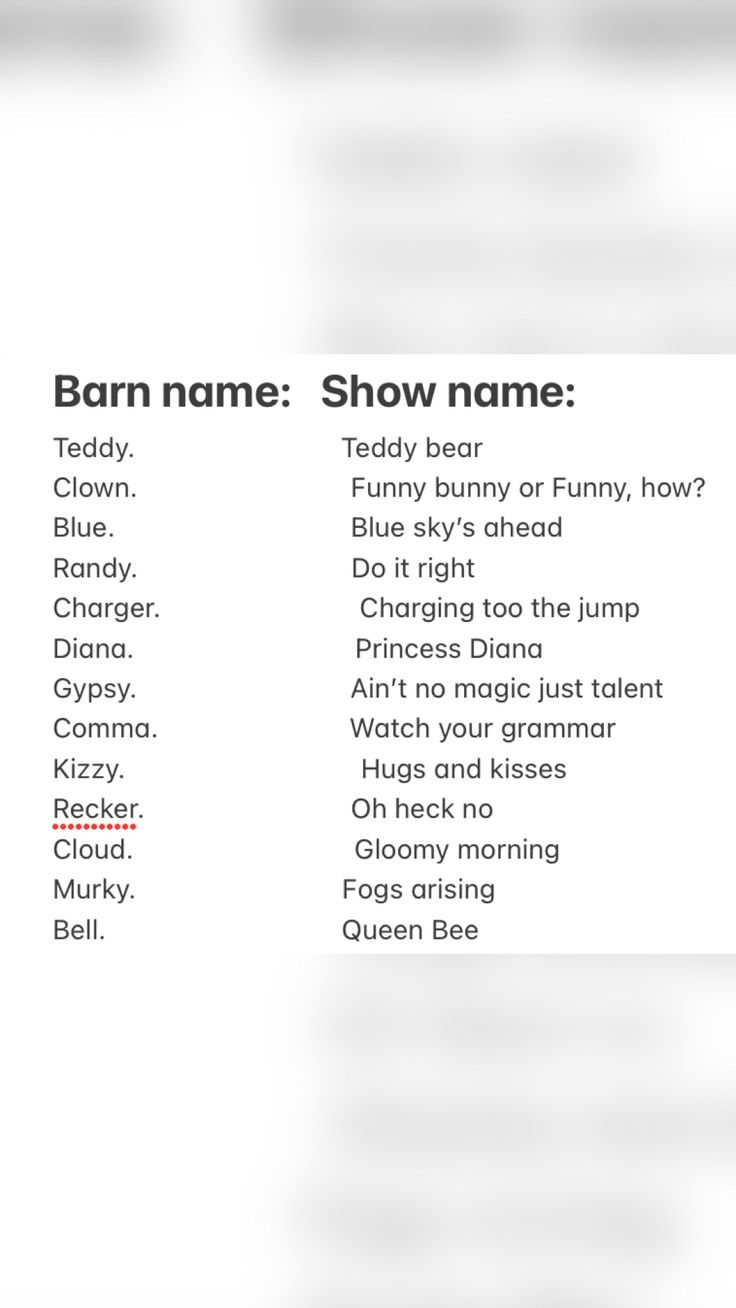 Horse Barn Names And Show Names Part 1 In 2022 Horses Rare Horses Horse Barn Names And Show Names Part 1 In 2022 Horses Rare Horses
