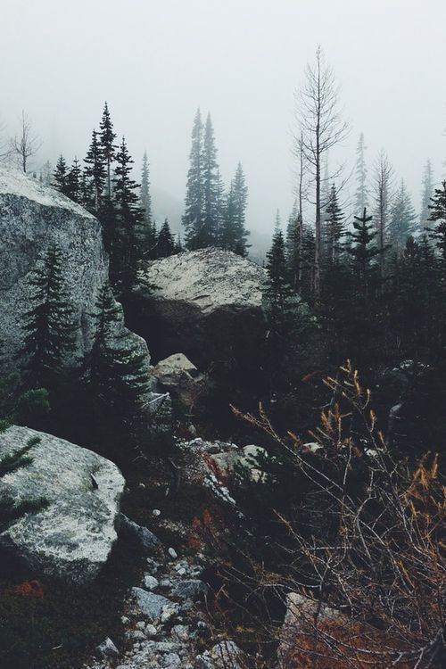 Beautiful and rocky nature scene. Beautiful and rocky nature scene.