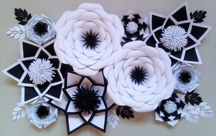 kwiaty z papieru kwiaty chanel paper flowers chanel flow chanel paper flower backdrop