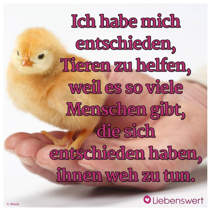 Kostenlose dating-sites für tierliebhaber