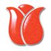 Netherland Bulb Company