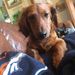 Jesse Duncan