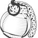 Surf City Paracord