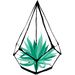 plantcollectiveco