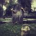 Graveyard Wanderer