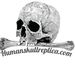 Humanskullreplica.com