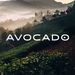 Avocado Green Brands