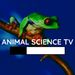 Animal Science TV