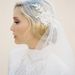 Veiled Beauty