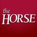The Horse