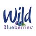 wildbberries