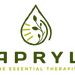 The Essential Therapist