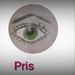priscilsdicas