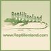 reptilienland