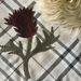 Thistle Sew Nicely