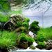 We Love Aquarium