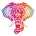 Eanythingindian