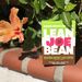 lean joe bean
