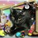 Scraps By Oreo's Meow