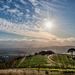 uvamiravineyard
