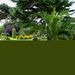 The Lawn & Garden