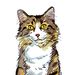 Pawesome Cats
