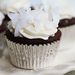 CoconutRecipes